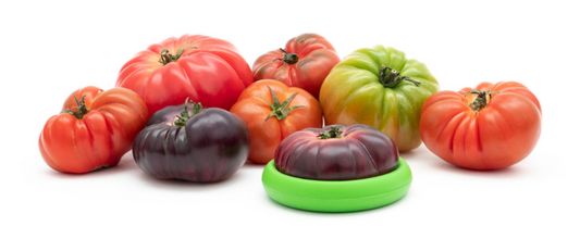 An easy way to keep food fresh using reusable Food Huggers from women-owned, B Corp certified company, Food Huggers. Help reduce food waste with this simple sustainable swap.